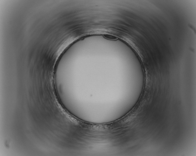 X0000100870901200807111315