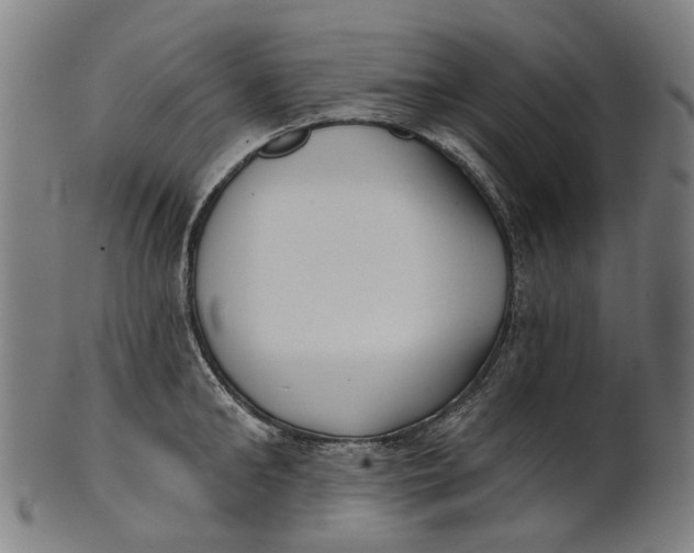 X0000100870902200807111315