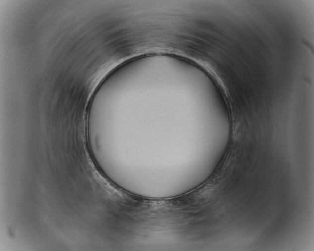 X0000100870903200807111315