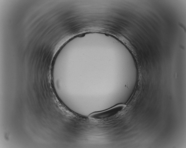 X0000100870904200807111315