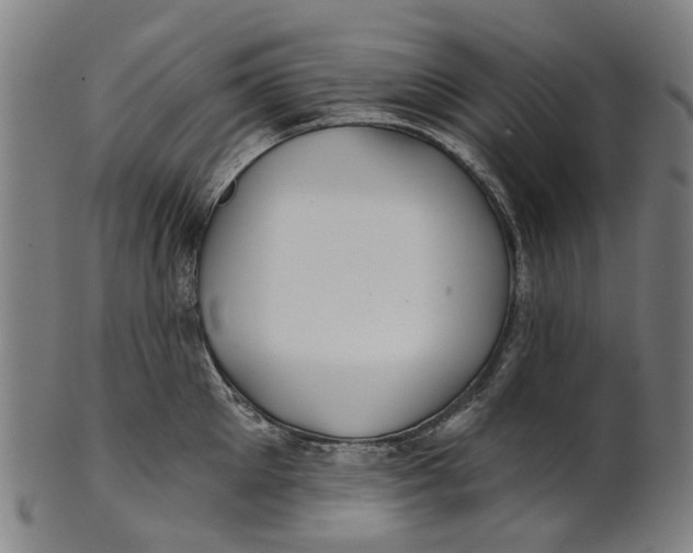 X0000100870905200807111315