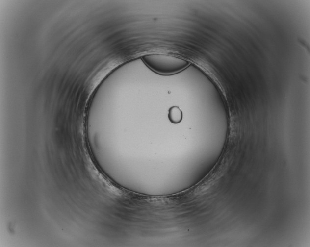 X0000100870906200807111315