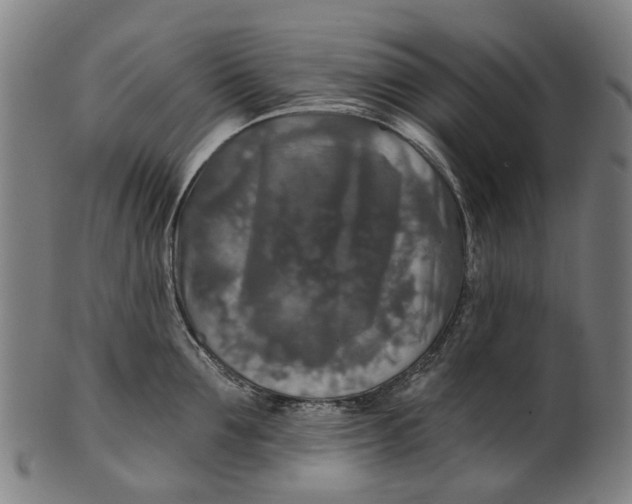 X0000100870907200807111315