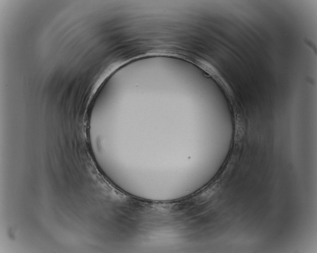 X0000100870908200807111315