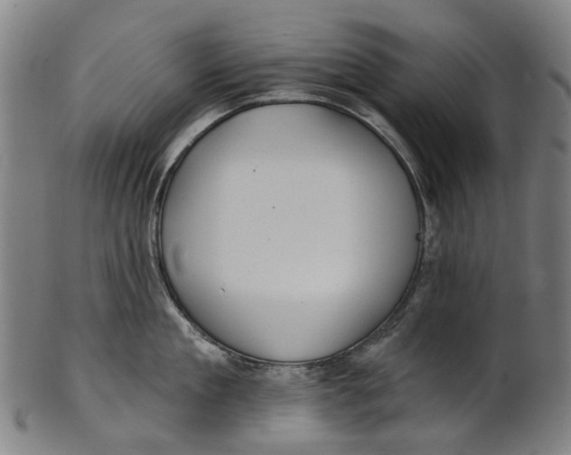 X0000100870909200807111315