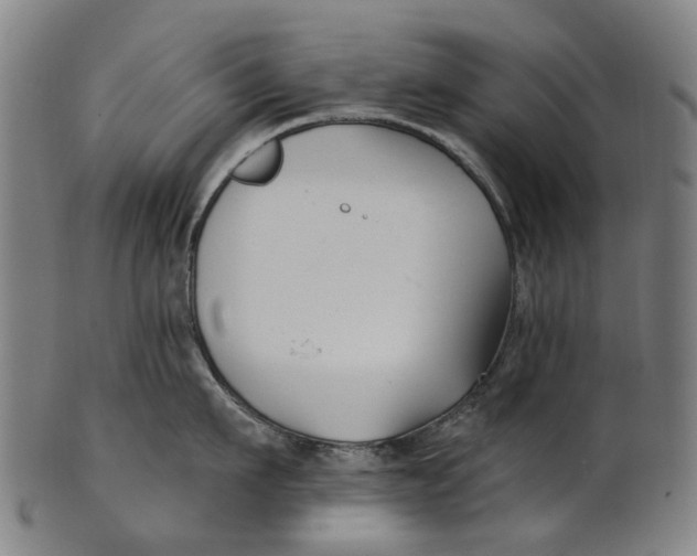 X0000100870911200807111315