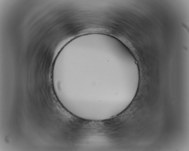 X0000100870912200807111315