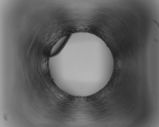 X0000100870914200807111314