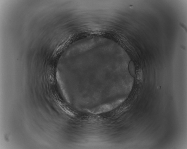 X0000100870916200807111314