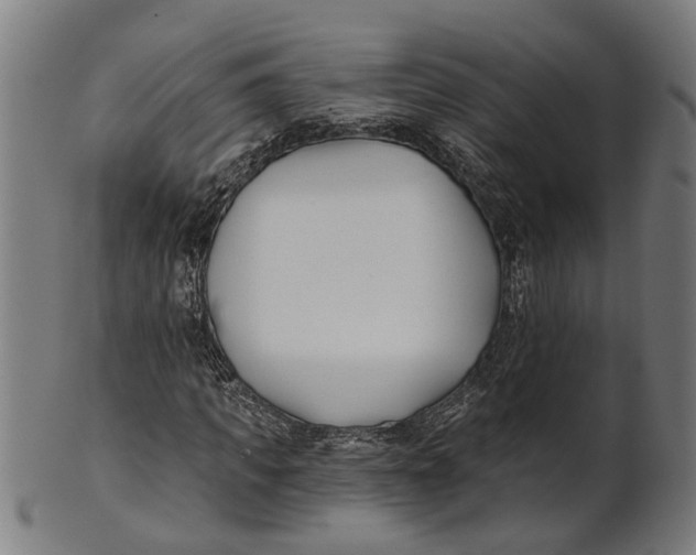 X0000100870917200807111314