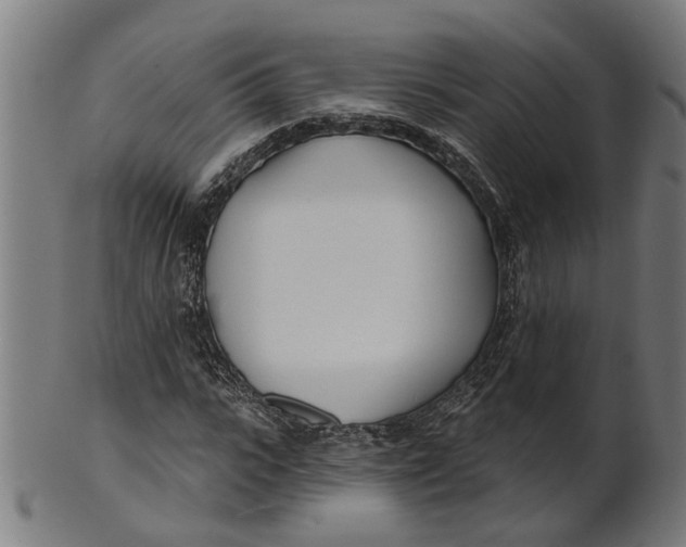 X0000100870919200807111314