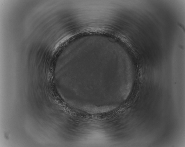 X0000100870920200807111314