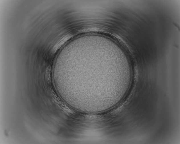 X0000100870921200807111314