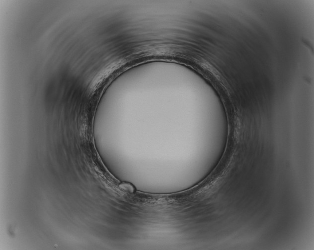 X0000100870922200807111314