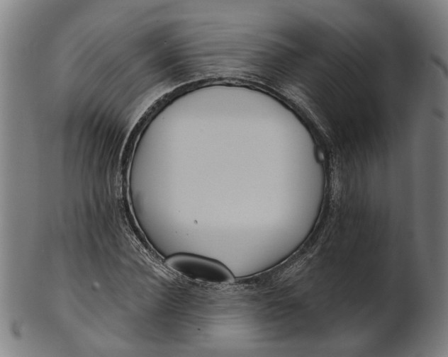 X0000100870924200807111314