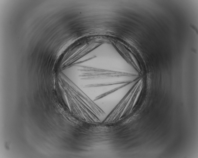 X0000100870925200807111314