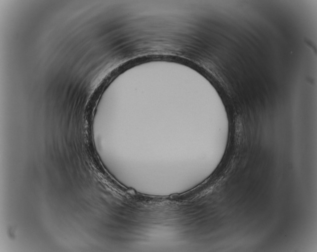 X0000100870926200807111314