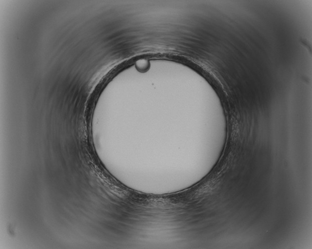 X0000100870927200807111314