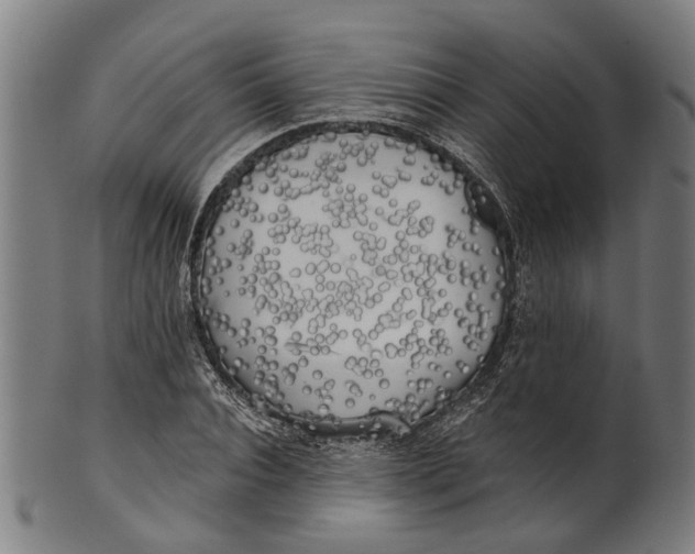 X0000100870928200807111314