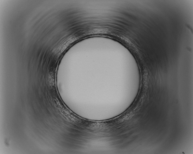 X0000100870929200807111314