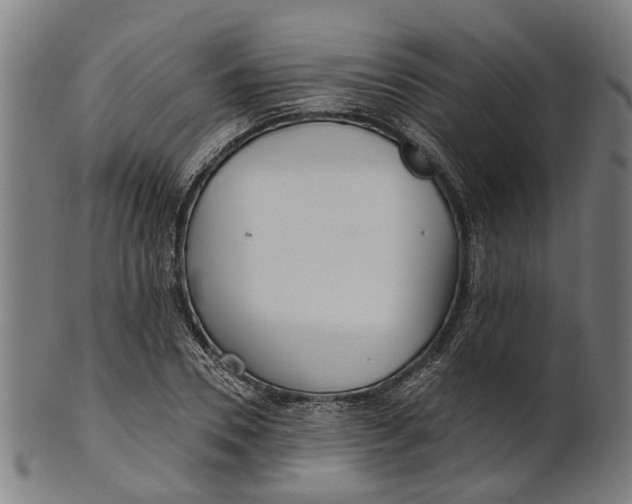 X0000100870930200807111314