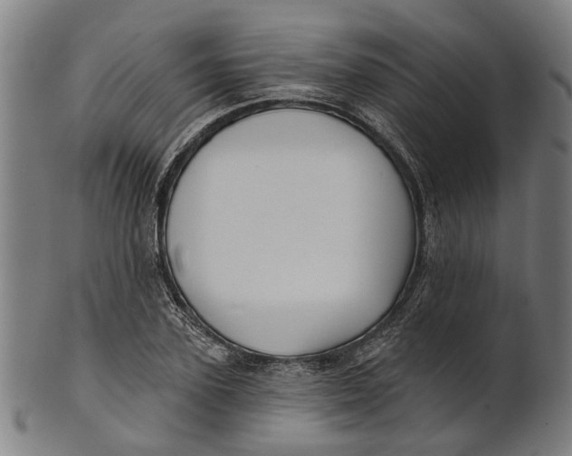 X0000100870931200807111314