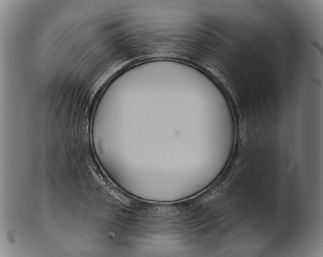 X0000100870933200807111314