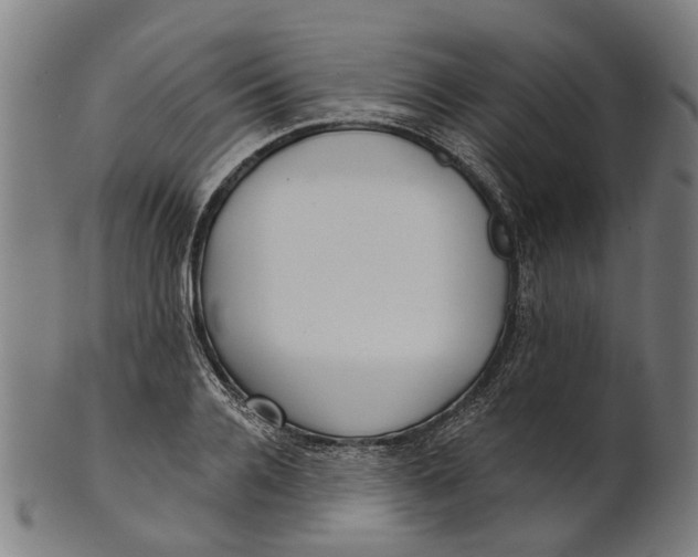 X0000100870936200807111314