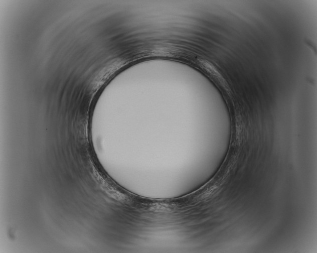 X0000100870938200807111314