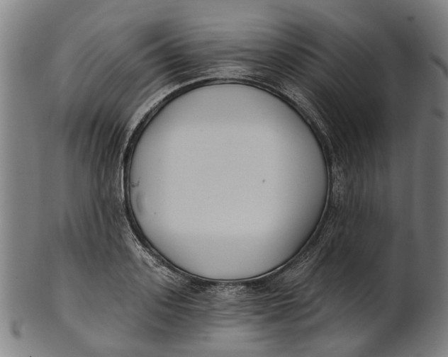 X0000100870939200807111314