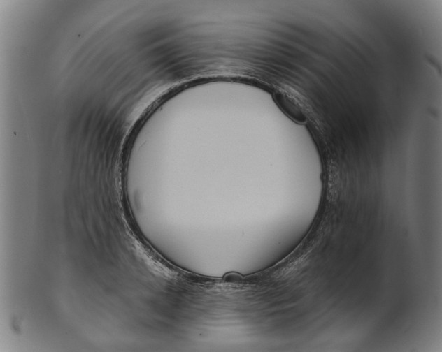 X0000100870942200807111314