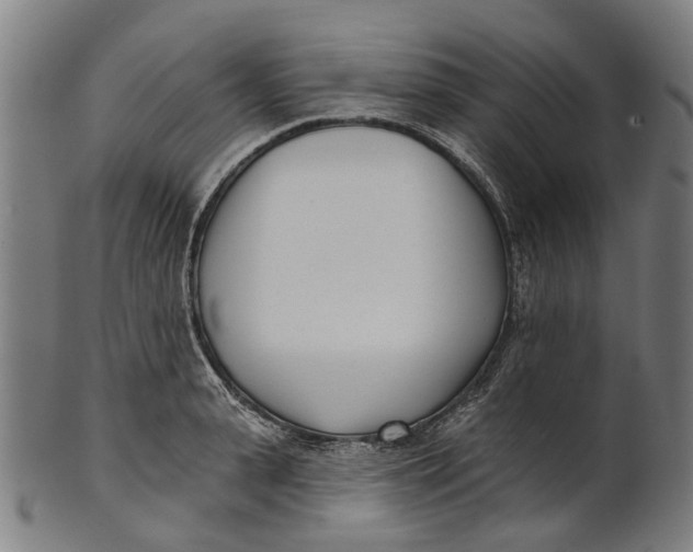 X0000100870943200807111314