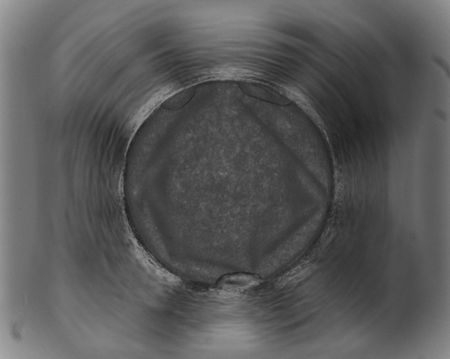 X0000100870946200807111314