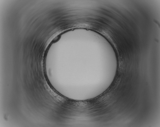 X0000100870947200807111314