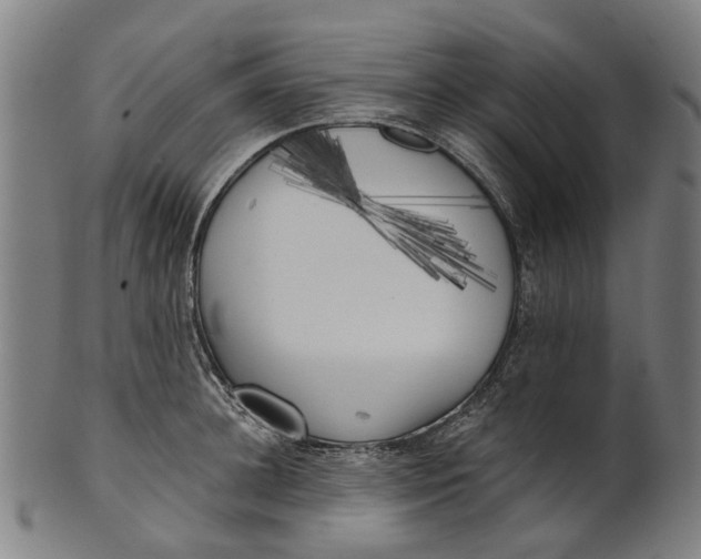 X0000100870948200807111314