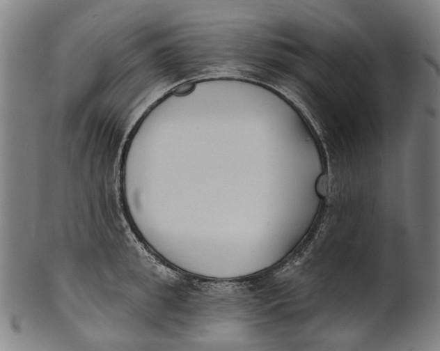 X0000100870949200807111314