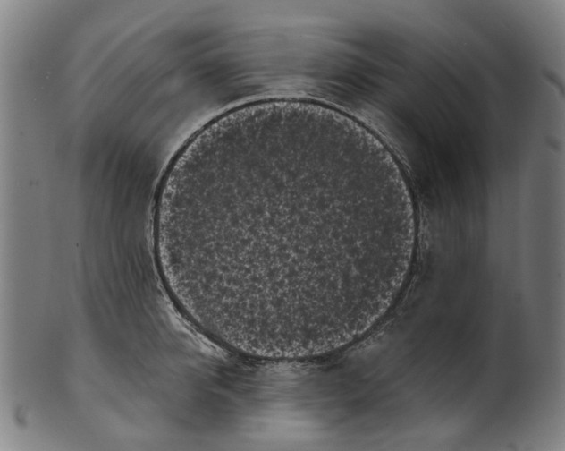 X0000100870950200807111314