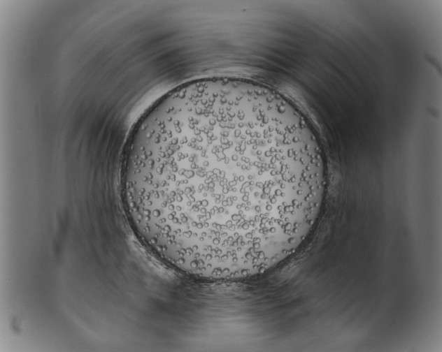 X0000100870952200807111314