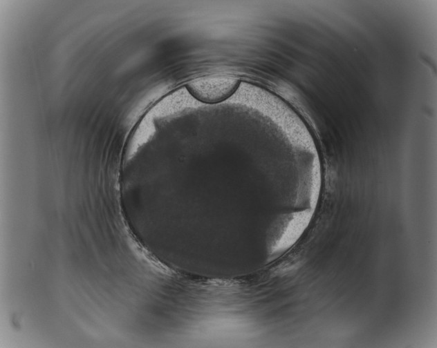 X0000100870954200807111314