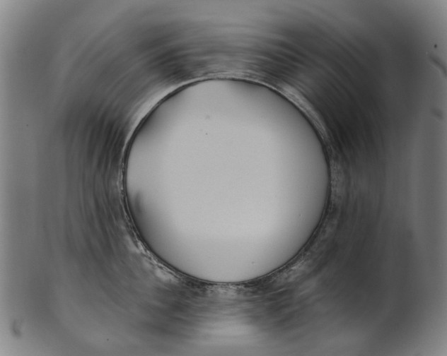 X0000100870956200807111314