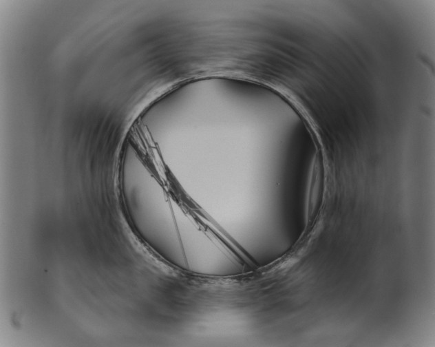 X0000100870957200807111314