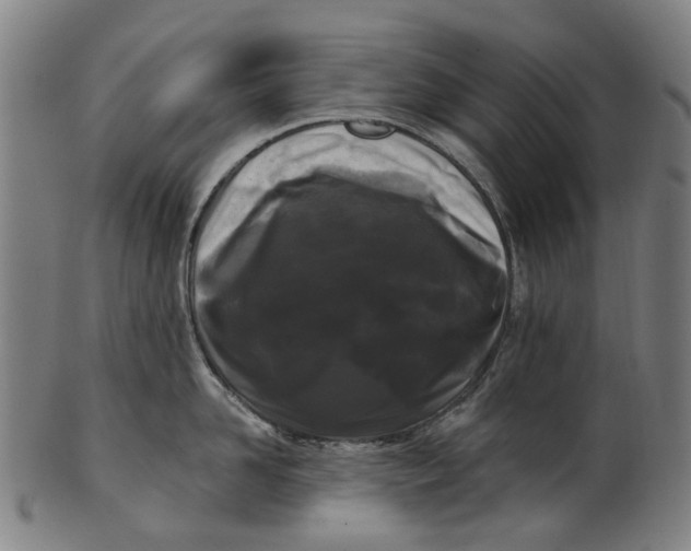 X0000100870958200807111314