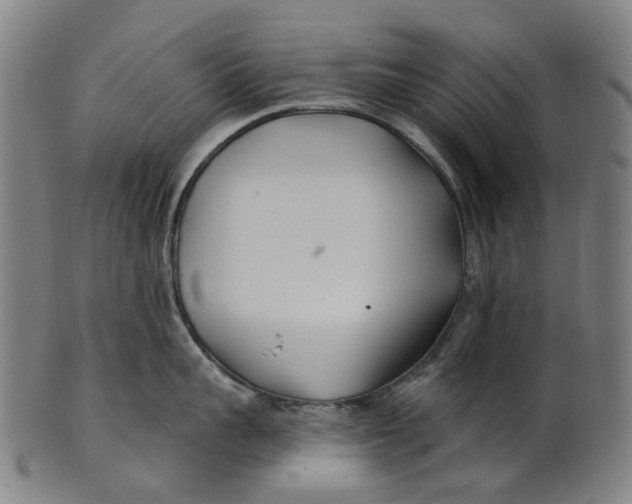 X0000100870959200807111315