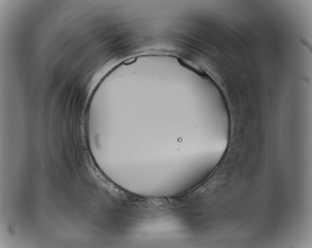 X0000100870960200807111315