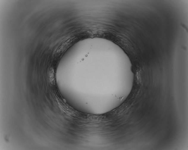 X0000100870963200807111314