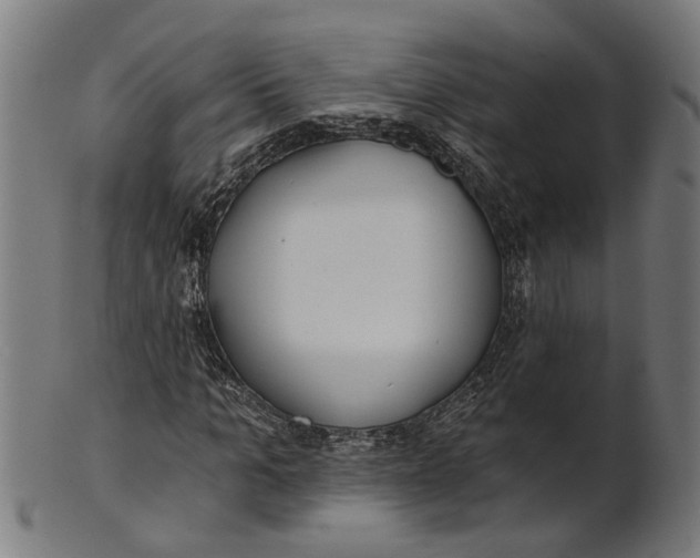 X0000100870965200807111314