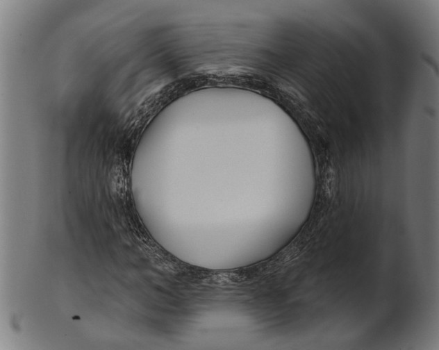 X0000100870966200807111314