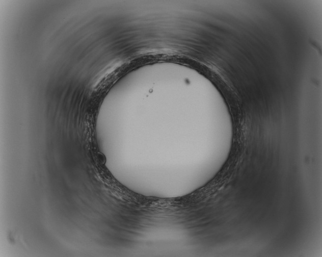 X0000100870967200807111314