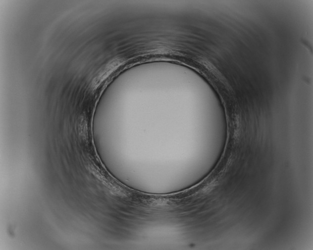 X0000100870969200807111314