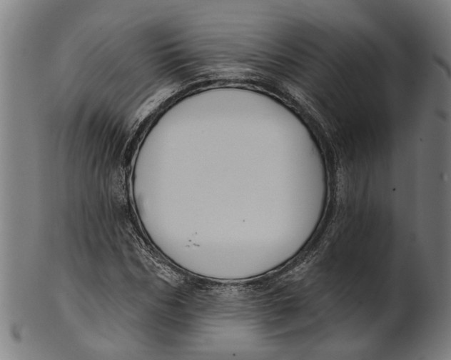 X0000100870970200807111314